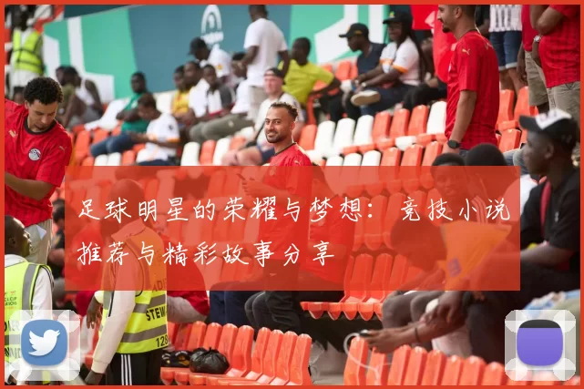 足球明星的荣耀与梦想：竞技小说推荐与精彩故事分享