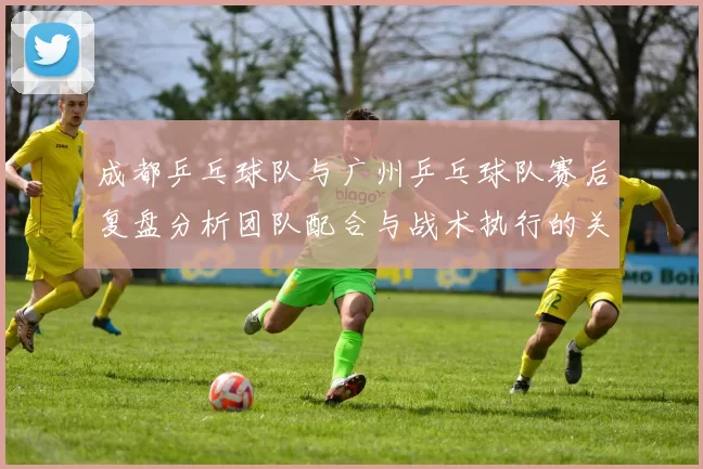 成都乒乓球队与广州乒乓球队赛后复盘分析团队配合与战术执行的关键因素