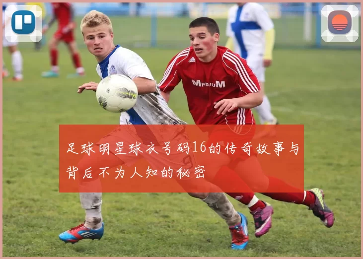 足球明星球衣号码16的传奇故事与背后不为人知的秘密