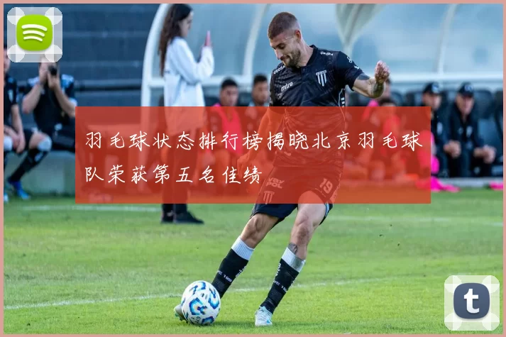 羽毛球状态排行榜揭晓北京羽毛球队荣获第五名佳绩