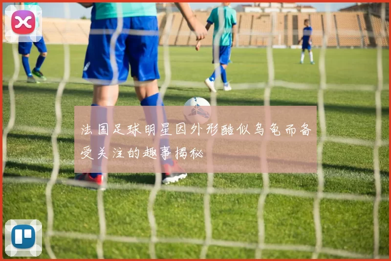 法国足球明星因外形酷似乌龟而备受关注的趣事揭秘