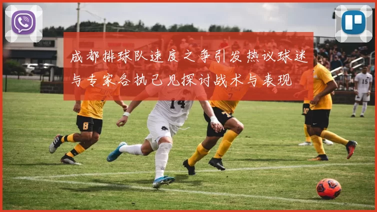 成都排球队速度之争引发热议球迷与专家各执己见探讨战术与表现