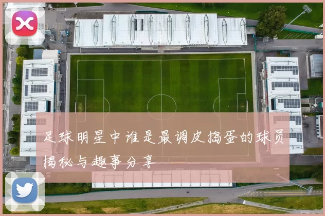 足球明星中谁是最调皮捣蛋的球员揭秘与趣事分享