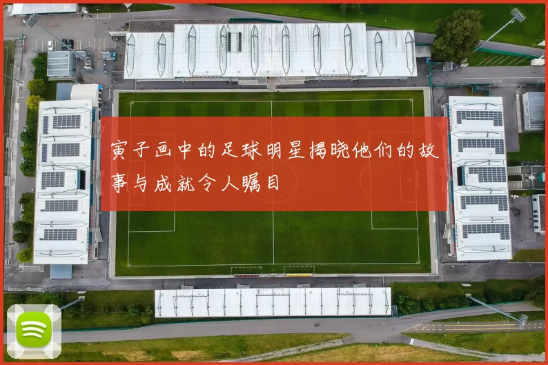 寅子画中的足球明星揭晓他们的故事与成就令人瞩目