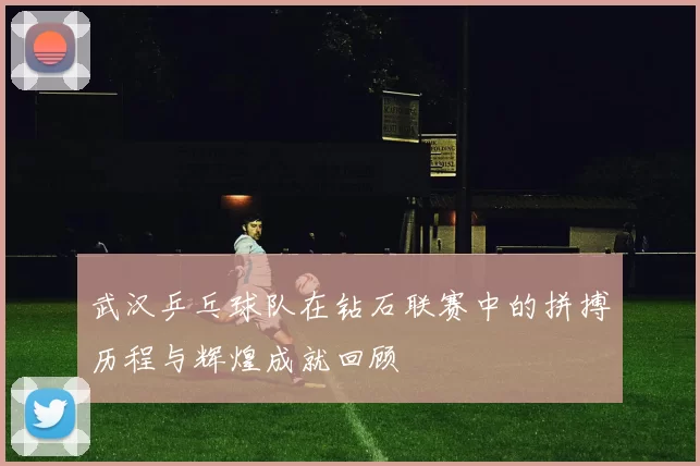 武汉乒乓球队在钻石联赛中的拼搏历程与辉煌成就回顾