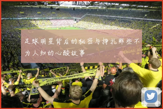 足球明星背后的秘密与挣扎那些不为人知的心酸故事