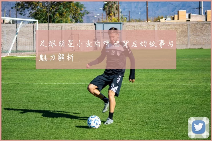 足球明星小麦白啤酒背后的故事与魅力解析