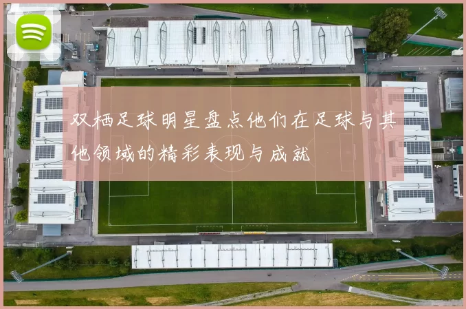 双栖足球明星盘点他们在足球与其他领域的精彩表现与成就