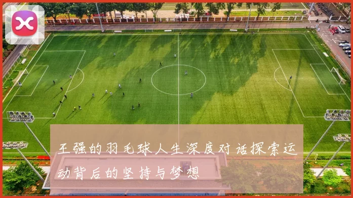 王强的羽毛球人生深度对话探索运动背后的坚持与梦想
