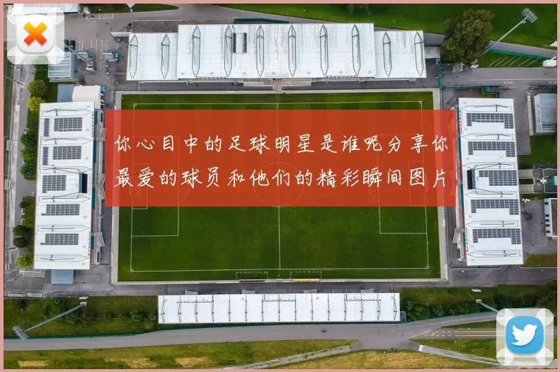你心目中的足球明星是谁呢分享你最爱的球员和他们的精彩瞬间图片