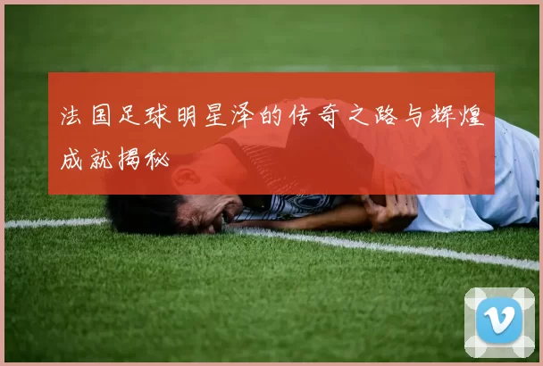 法国足球明星泽的传奇之路与辉煌成就揭秘