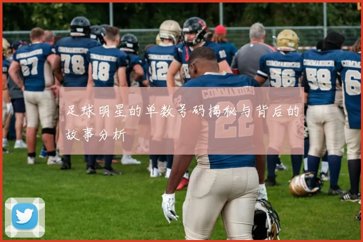 足球明星的单数号码揭秘与背后的故事分析