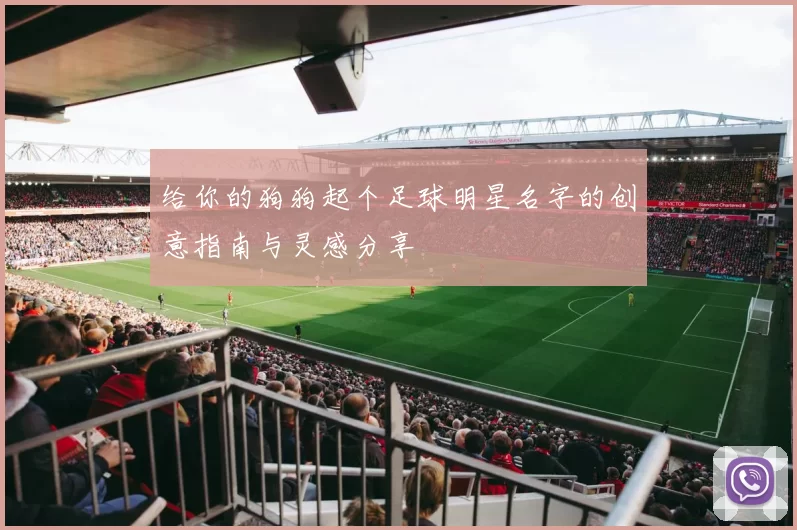 给你的狗狗起个足球明星名字的创意指南与灵感分享