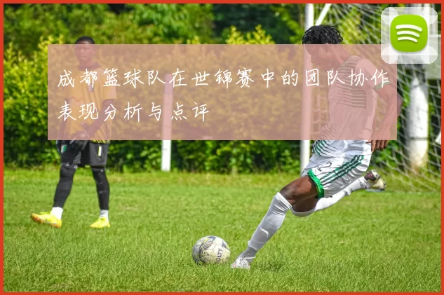 成都篮球队在世锦赛中的团队协作表现分析与点评